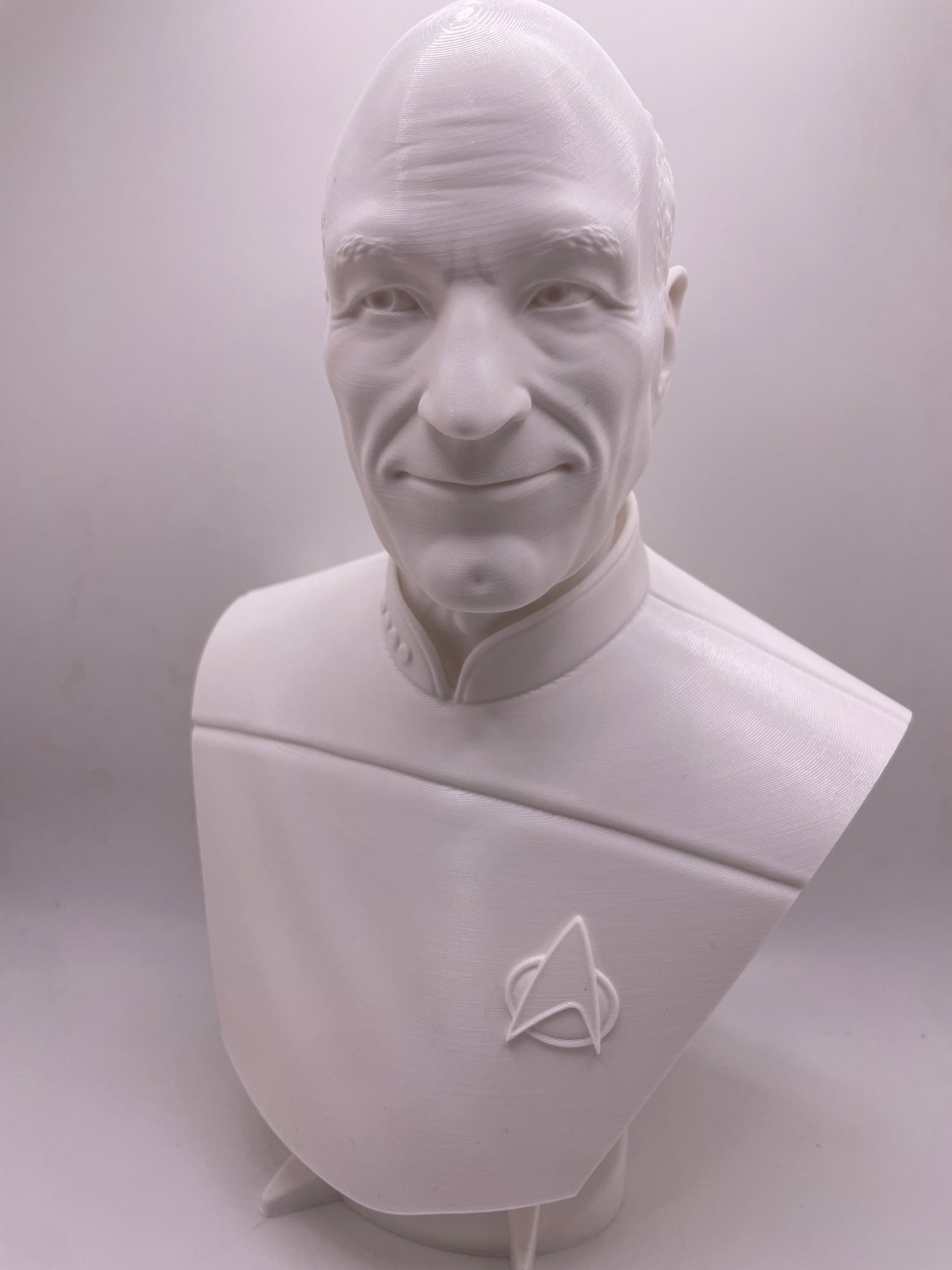 Captain Picard | Star Trek: The Next Generation | Fan Art | Sculpture | Statue