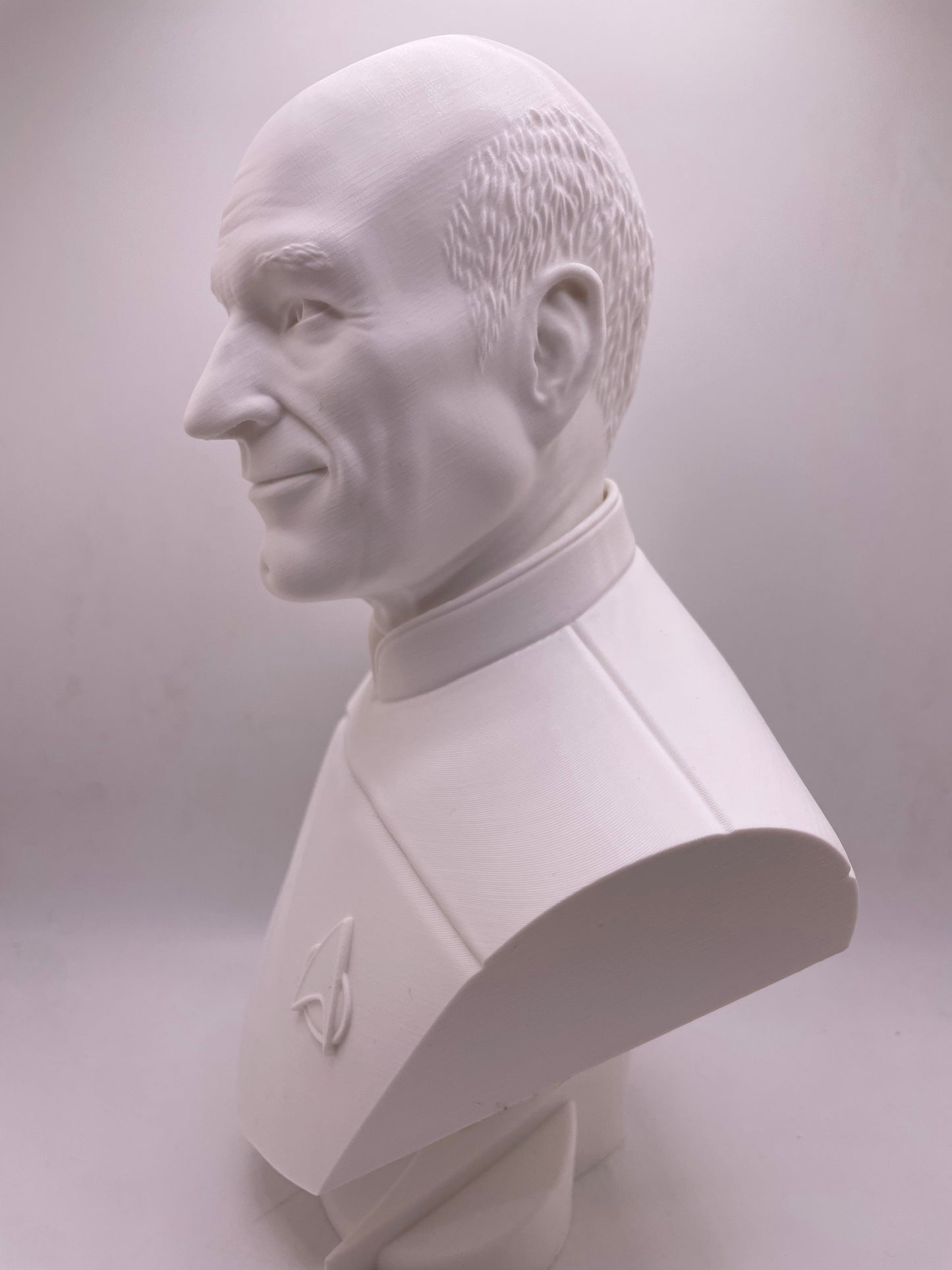 Captain Picard | Star Trek: The Next Generation | Fan Art | Sculpture | Statue